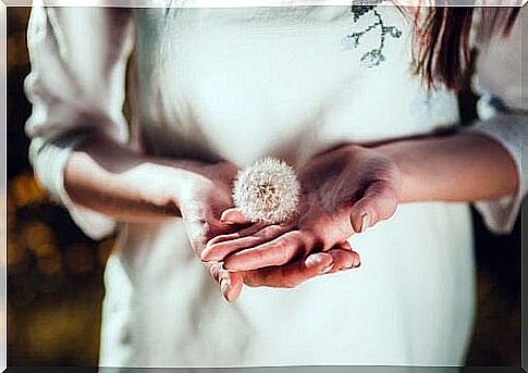 Woman holding a dandelion in her hands to create magical moments