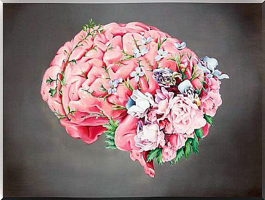 Brain From Which Flowers Grow