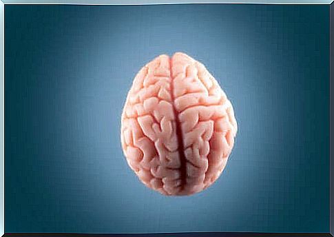 What happens to your brain before you die?
